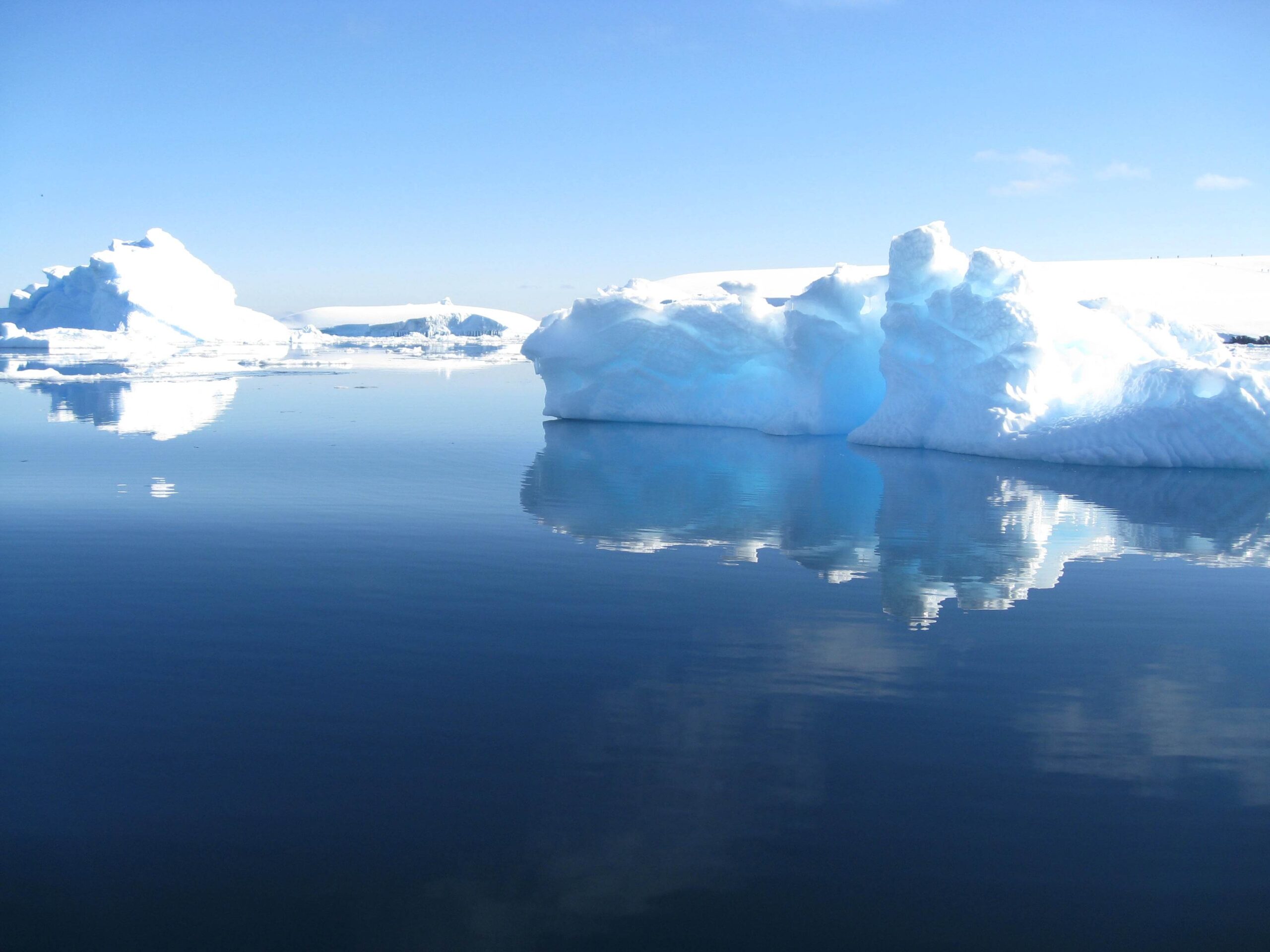 icebergs in the water